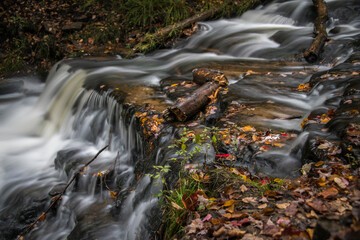 Fall Stream Michigan