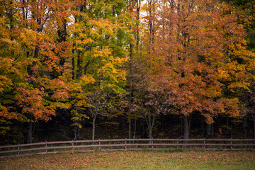 Fall Fence Colors