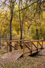 Nice autumn landscape with yellow and green trees and plants with a small wooden bridge covered in fallen leaves