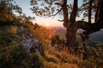 sunrise on a hill overlooking