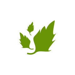 Obraz premium Leaf icon logo design template