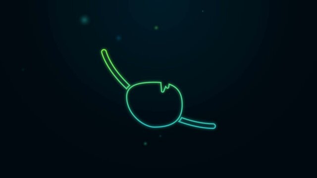Glowing neon line Pirate eye patch icon isolated on black background. Pirate accessory. 4K Video motion graphic animation