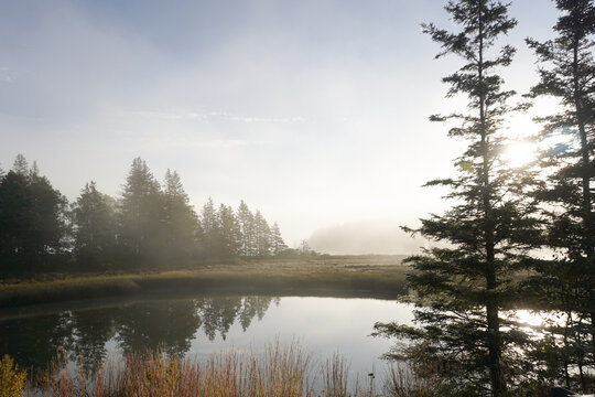 Misty morning on the lake