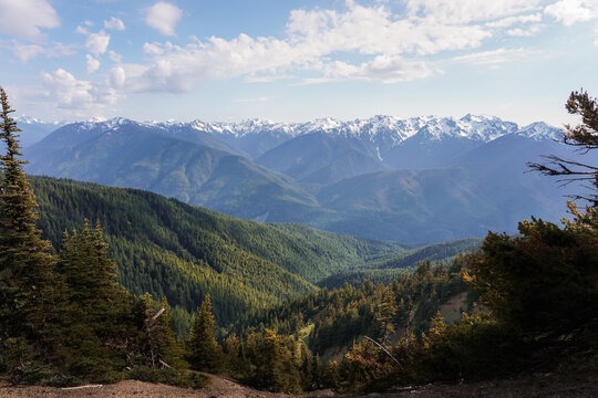 landscape in the mountains