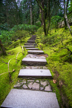 pathway in the park