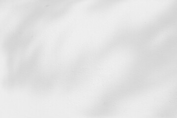 Abstract shadows nature. Gray shadows trees leaf on white wall. Concept blurred background.White and Black.Texture shadows
