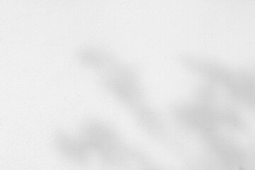 Abstract shadows nature. Gray shadows trees leaf on white wall. Concept blurred background.White and Black.Texture shadows

