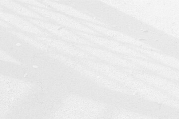 Obraz premium Abstract shadows background lights. Shadows wall background nature texture. shadows light summer. 