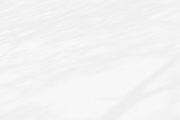 Abstract shadows nature. Gray shadows trees leaf on white wall. Concept blurred background.White and Black.Texture shadows
