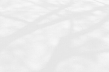 Abstract shadows nature. Gray shadows trees leaf on white wall. Concept blurred background.White and Black.Texture shadows
