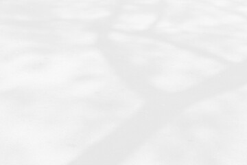 Abstract shadows nature. Gray shadows trees leaf on white wall. Concept blurred background.White and Black.Texture shadows
