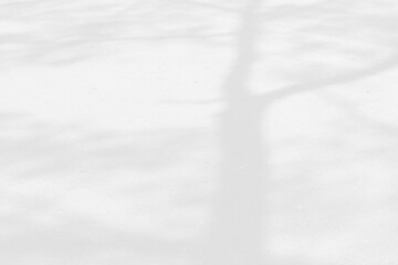 Fototapeta premium Abstract shadows nature. Gray shadows trees leaf on white wall. Concept blurred background.White and Black.Texture shadows 