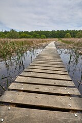 Obraz premium Swampland walkway wooden board path