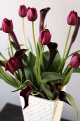 クィーンオブナイト