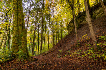 Fantastic autumn hike along the Aachtobel to the Hohenbodman observation tower