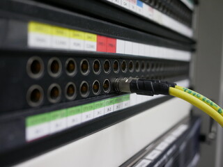 BNC SDI signal cables plugged on path panel.