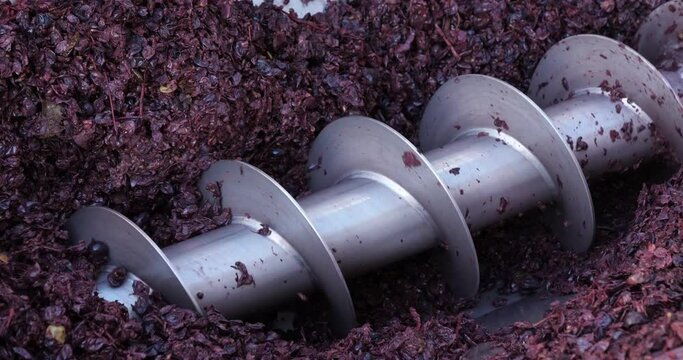 Wine factory, Claret, Pic Saint Loup, Herault department, Occitanie, France.  grape processing metal machine squeezing Pic Saint Loup in a vineyard factory