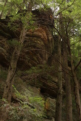 This is a steep rock formation and trees in a forest in southern Ohio. This can be found in Hocking Hills State Park. 