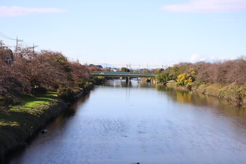 Fototapeta na wymiar 日本の埼玉県蓮田市付近を流れる元荒川の風景