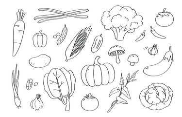Cute doodle vegetable cartoon icons and objects.