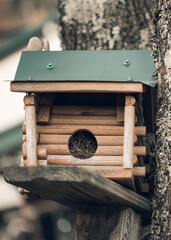 Birdhouse on the tree. Tree house for birds. Log cabin in the autumn forest. Caring for animals.