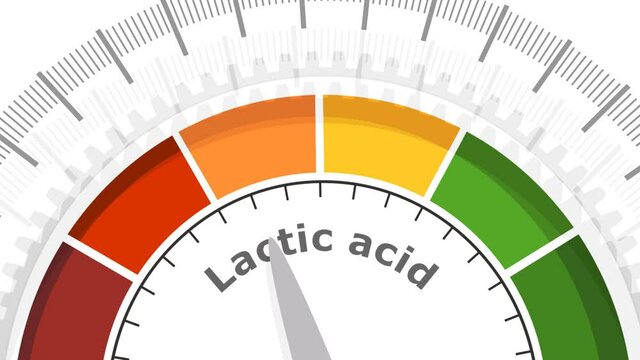 Scale with arrow. The lactic acid measuring device. Sign tachometer, speedometer, indicator.
