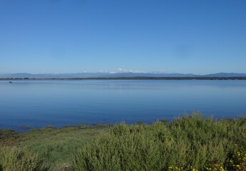 Tranquil Lummi Bay in late summer