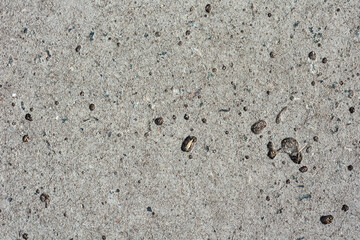 Fototapeta na wymiar gray concrete slabs - walkway in the park close up background.