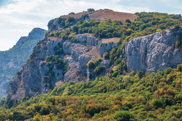 Fototapeta premium High rocky mountains on cloudy sky background. Green pine forest on the mountainside.