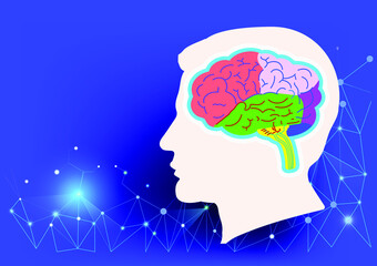 brain schematic raster illustration. Medical science educational illustration. Copy space for your text