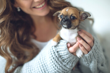 The owner of the dog and her pet. Happy ethnic girl holding a cute puppy near her face, expresses love and care for a pet, woman in a sweater. High quality photo.