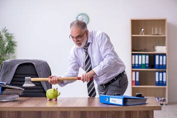 Old male employee holding hatchet in budget planning concept