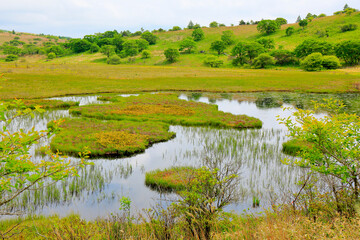 霧ヶ峰　八島ヶ原湿原