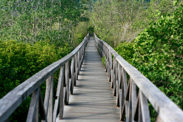 Fototapeta na wymiar wooden bridge 