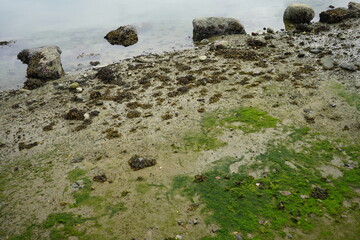 波打ち際　水際　水辺