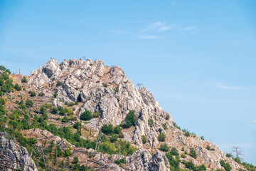Fallen pines on the steep slope of a high rocky mountain. High rocky mountains on blue sky background.