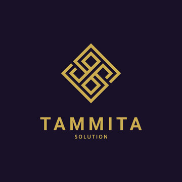 minimalist Initial Letter TS, ST, T & S Logo icon concept. Creative Minimal Alphabet emblem design template. Graphic Symbol for Corporate Business Identity.Creative Vector graphic element.