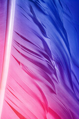 Detailed macro photo of colorful goose feathers in bright contrast light