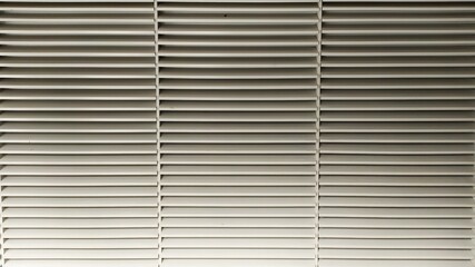 Obraz premium Black and white grid line
