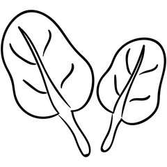 Spinach Leaves 