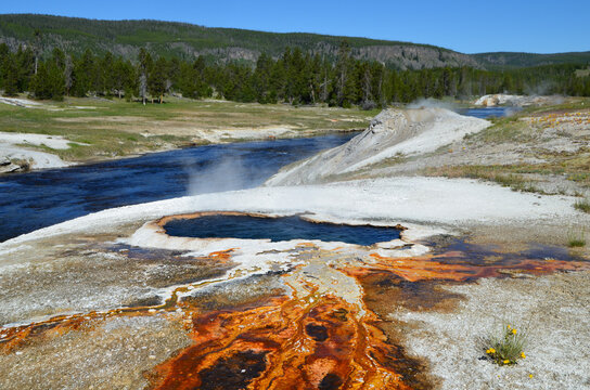 Beautiful View Of Upper Geyser Basin In Yellowstone, Wyoming