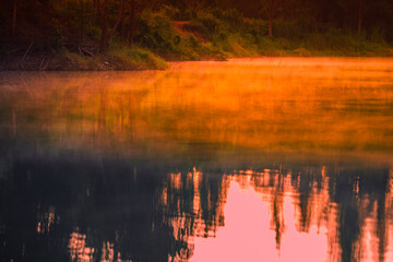 Fototapeta premium Blurred nature background view of naturally occurring trees and reflection on the water surface, the beauty of ecosystems at various vantage points.
