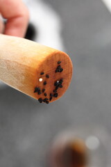 Black cumin seeds on wooden pestle