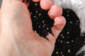 Black cumin seeds in palm of hand