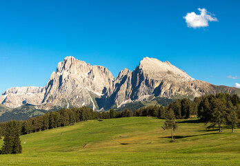 Fototapeta premium Seiser Alm, Alpe di Siusi, mit Blick auf Langkofel und Plattkofel, Südtirol