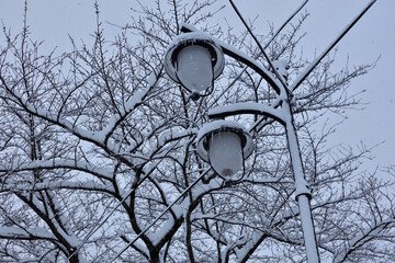 積雪した街灯