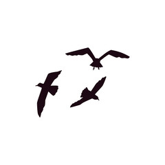 Vector isolated set or flock of silhouettes of flying seagulls in sky.
