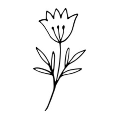 Floral sketch. Social media story floral element