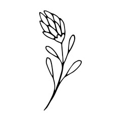floral flower hand drawn doodle icon for social media story