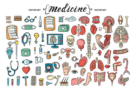 Vector cartoon set on the theme of medicine, human organs, anatomy. Isolated hand drawn colorful doodles, icons. Treatment, health and healthcare symbols. Line art for use in design